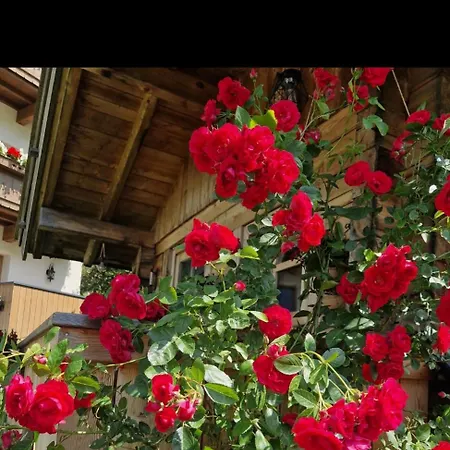 Klein&fein Appartamento Neustift im Stubaital