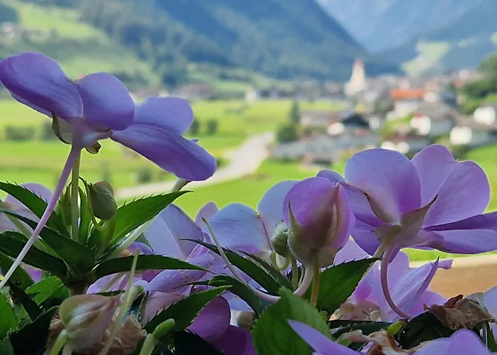 Apartment Klein&fein *