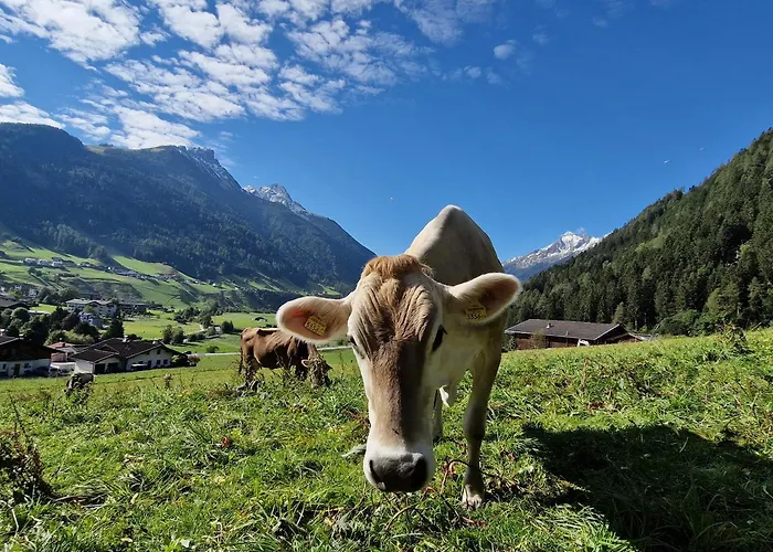 Klein&fein Apartamento Neustift im Stubaital