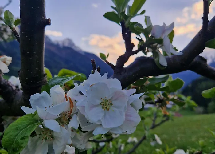Klein&fein * Neustift im Stubaital