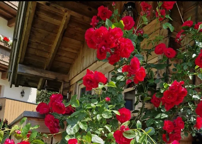 Klein&fein Apartamento Neustift im Stubaital