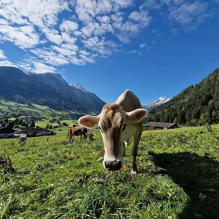 Klein&fein Appartamento Neustift im Stubaital