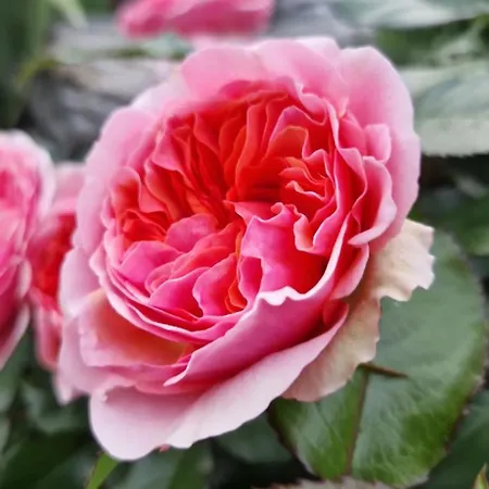 Klein&fein * Neustift im Stubaital